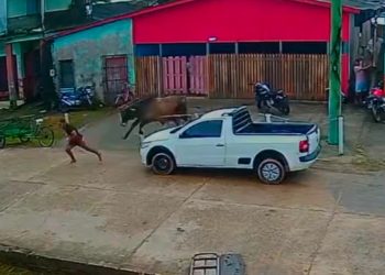 VÍDEO: Boi foge durante transporte e persegue pessoas em cidade do Amazonas