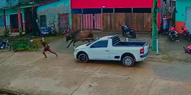 VÍDEO: Boi foge durante transporte e persegue pessoas em cidade do Amazonas